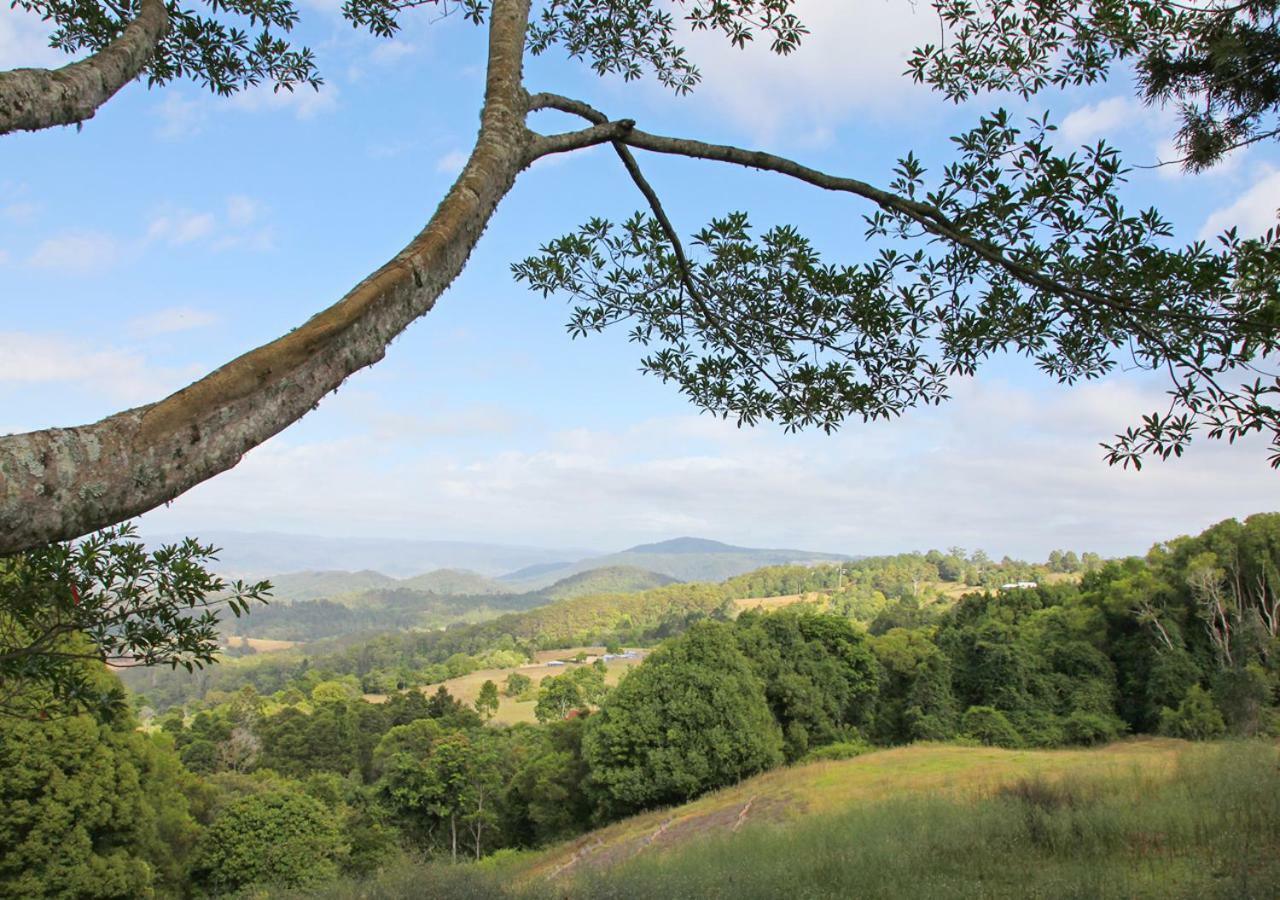 Maleny Hinterland Escape Apartman Witta Kültér fotó